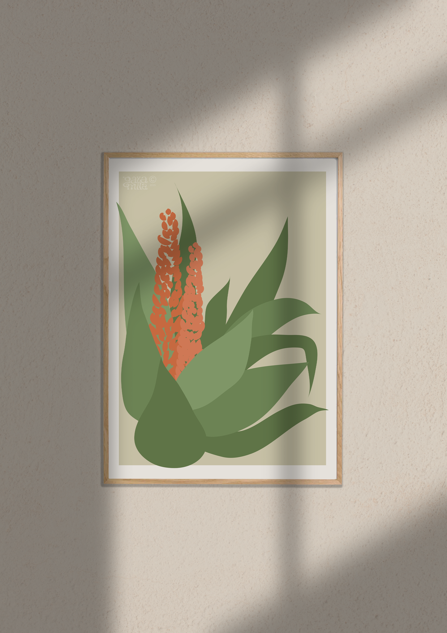Aloe