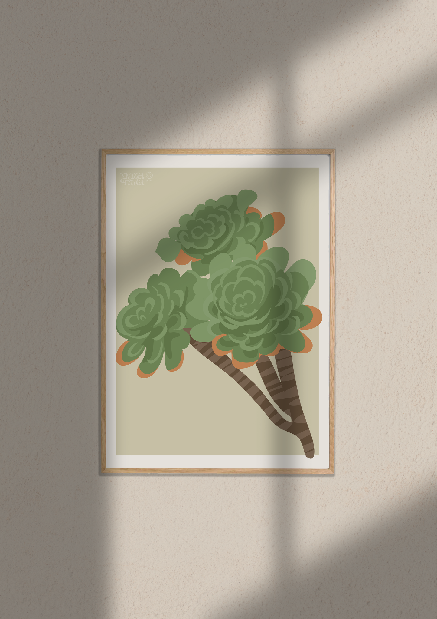 Succulent