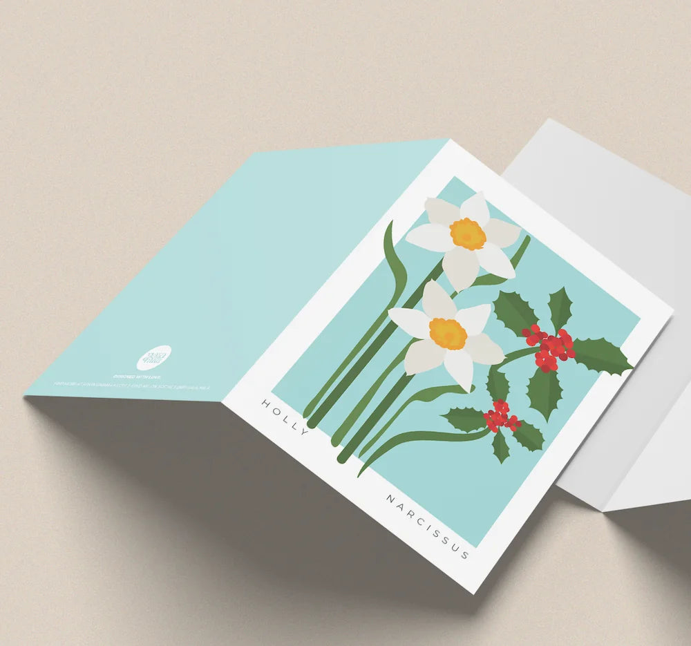 December Birth Flower