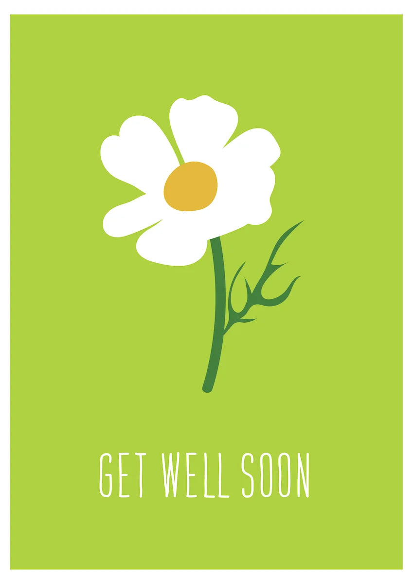 Get Well Daisy