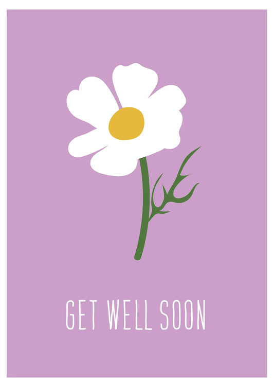 Get Well Daisy