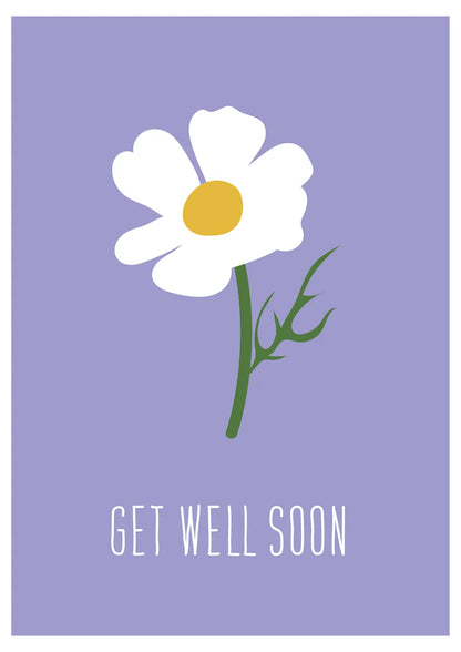 Get Well Daisy