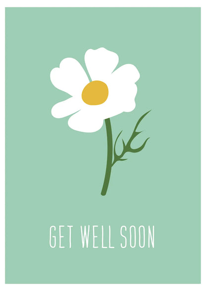 Get Well Daisy