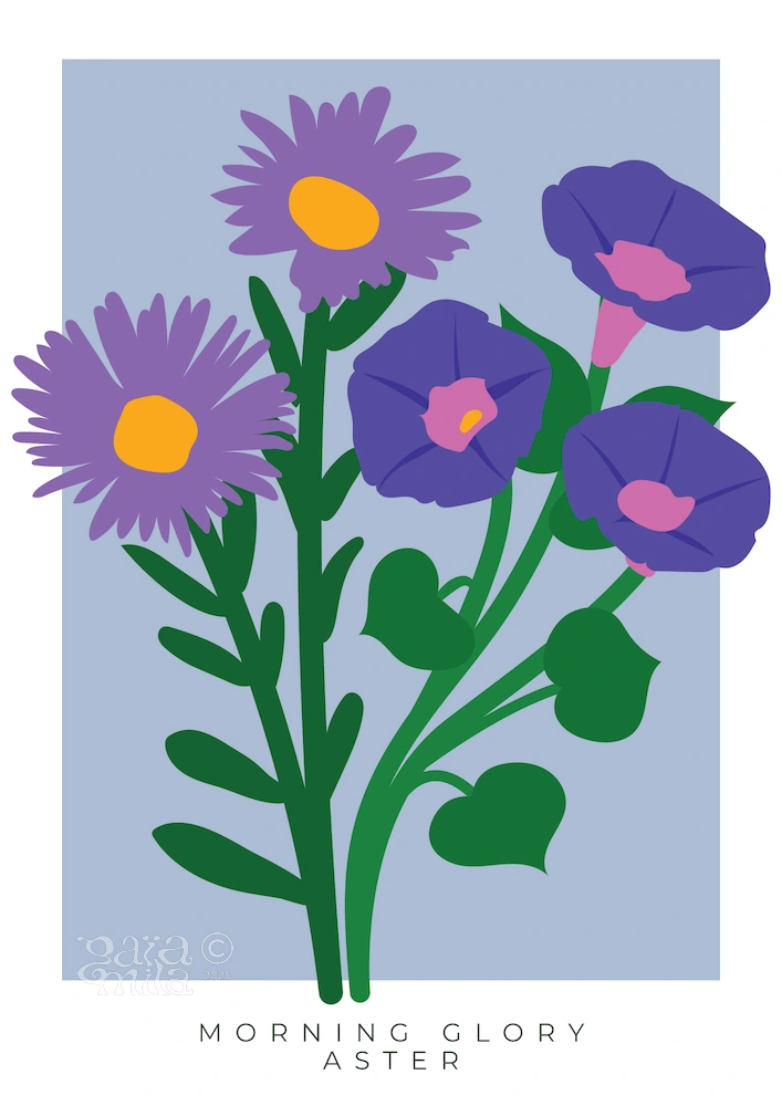 September Birth Flower