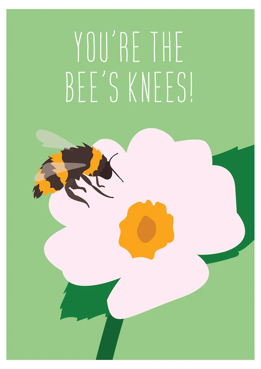 You're the Bees Knees!