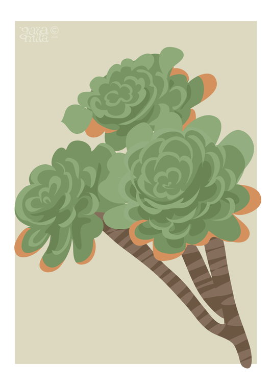 Succulent