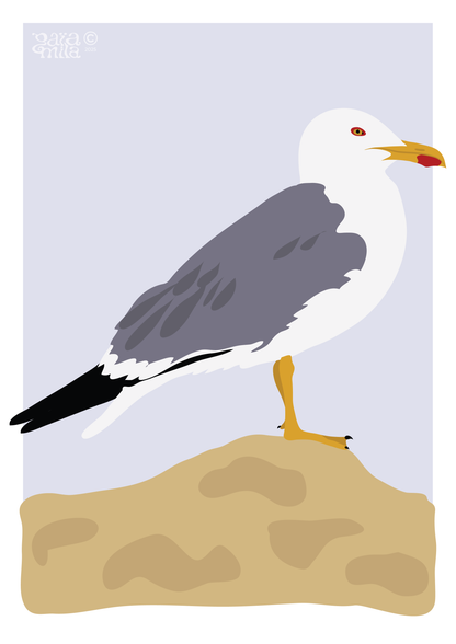 Seagull