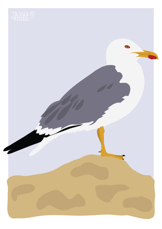 Seagull